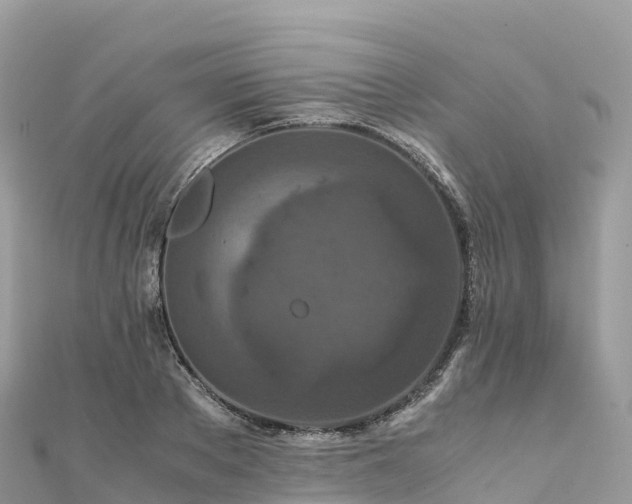 X0000111860889200907301129