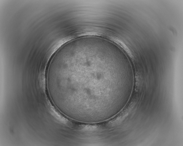 X0000111860890200907301129