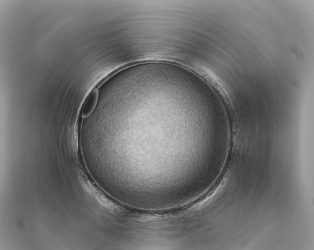 X0000111860892200907301129