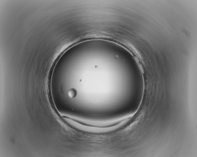 X0000111860893200907301129