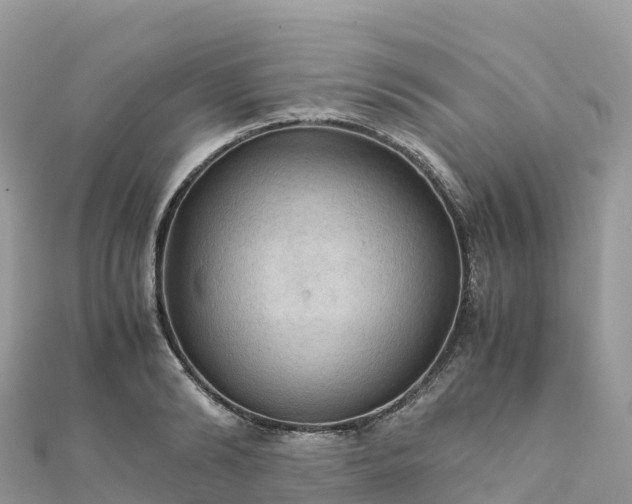 X0000111860894200907301129