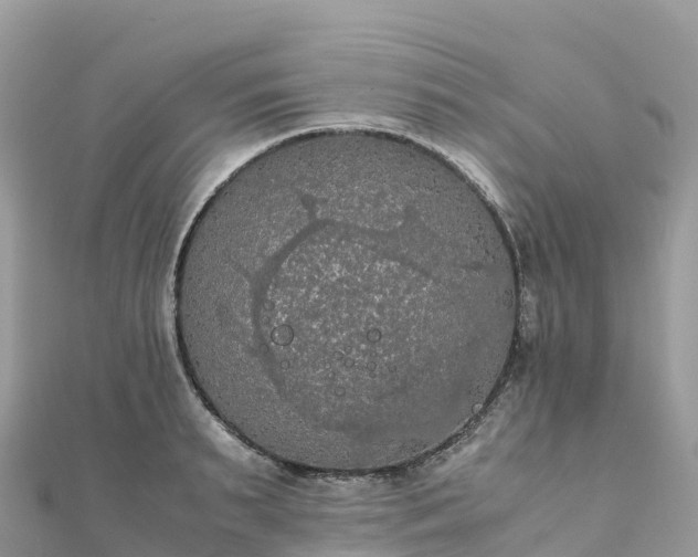 X0000111860895200907301129