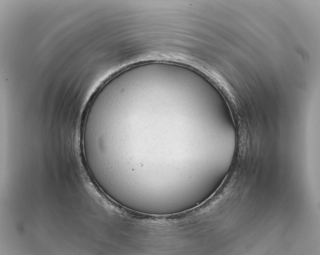 X0000111860896200907301129