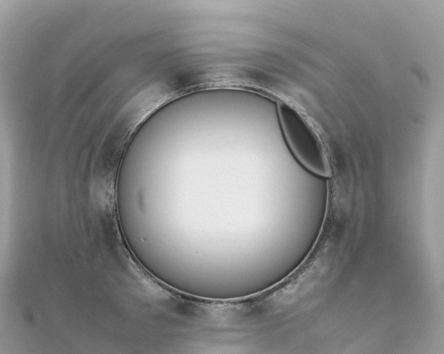 X0000111860897200907301129