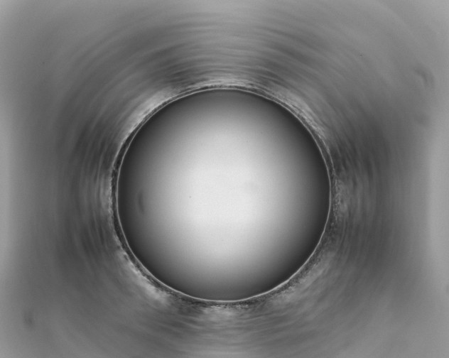 X0000111860898200907301129