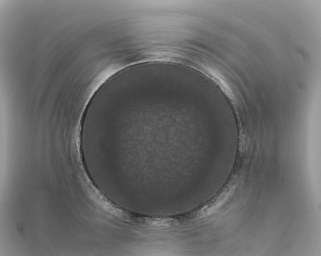 X0000111860899200907301128