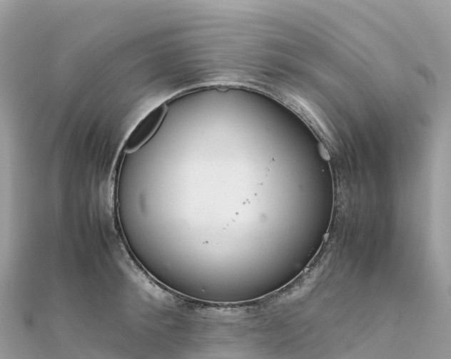 X0000111860900200907301128