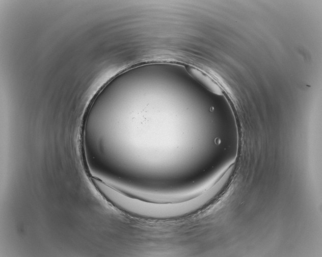 X0000111860901200907301128