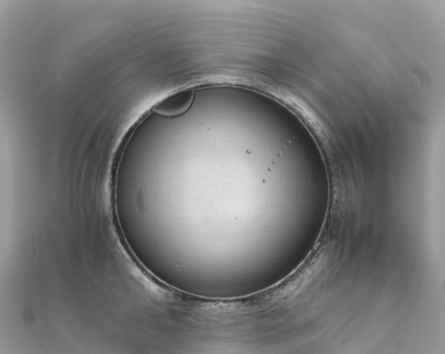 X0000111860902200907301128