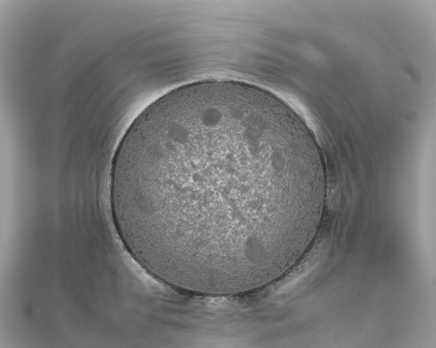 X0000111860903200907301128