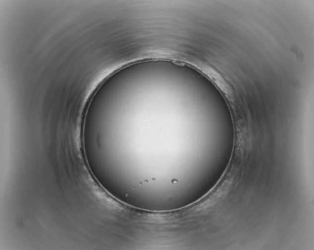 X0000111860904200907301128