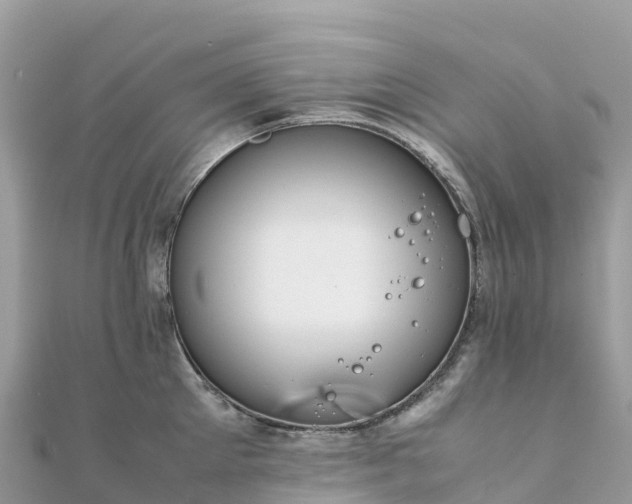 X0000111860905200907301128