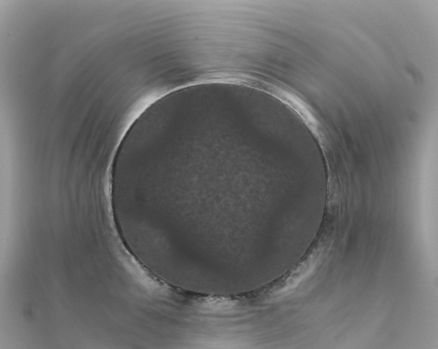 X0000111860907200907301128