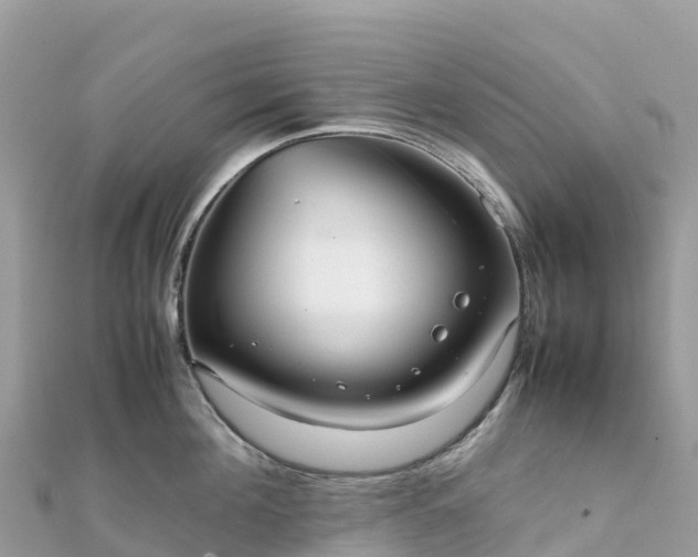 X0000111860908200907301128