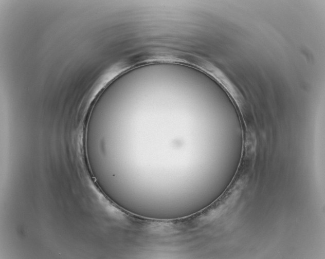 X0000111860909200907301128