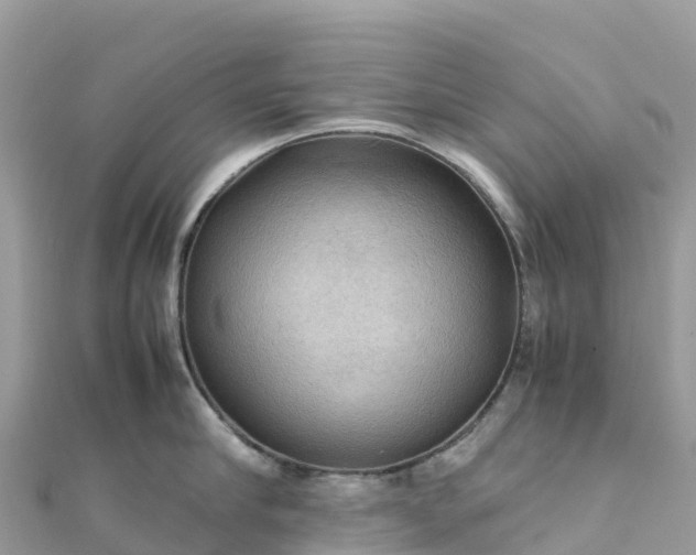 X0000111860910200907301128