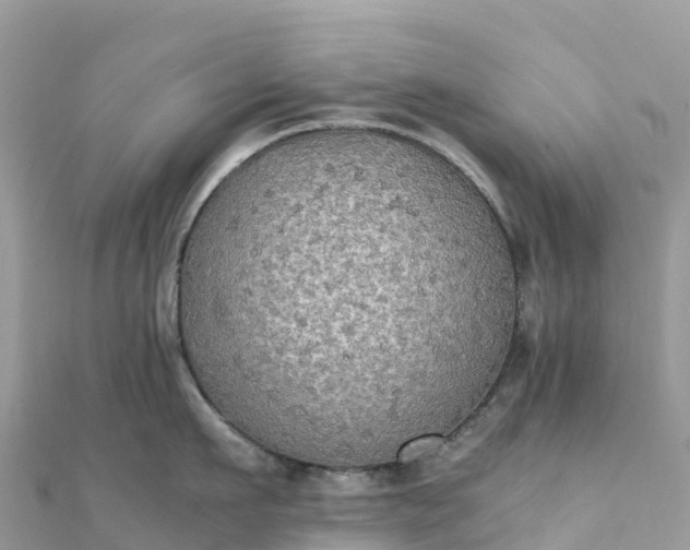 X0000111860911200907301128