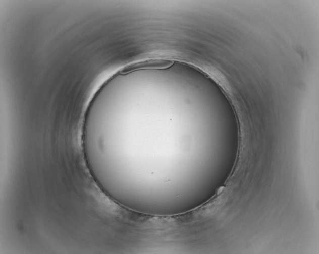 X0000111860912200907301128