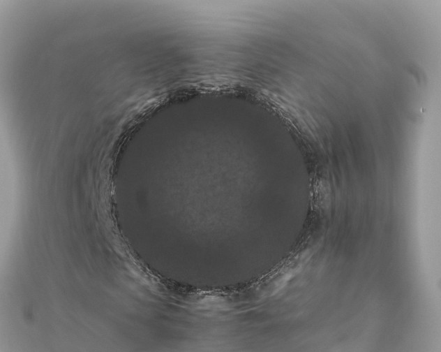 X0000111860913200907301128