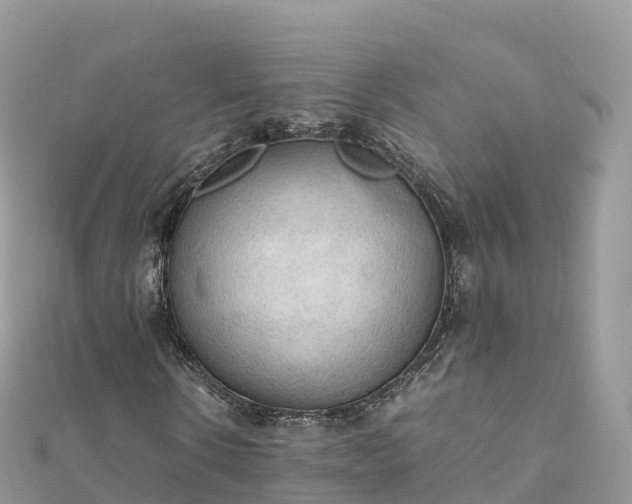 X0000111860914200907301128