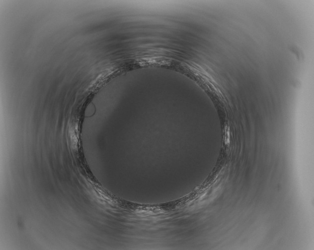 X0000111860915200907301128