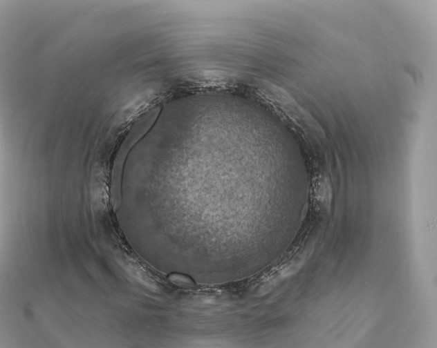 X0000111860916200907301128