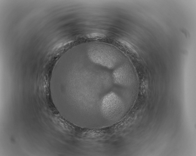 X0000111860917200907301128