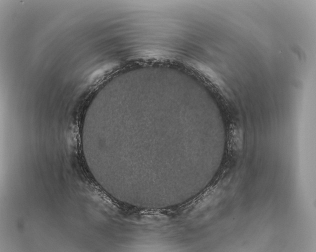 X0000111860918200907301128