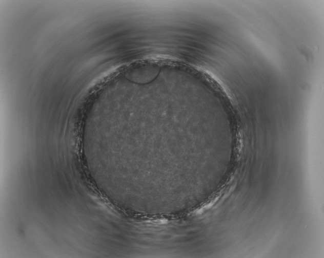 X0000111860919200907301128