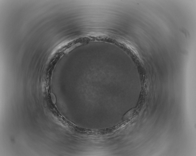 X0000111860920200907301128