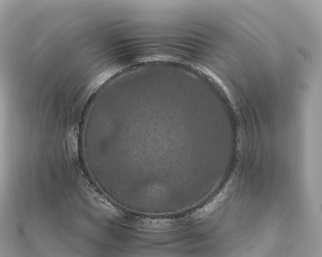 X0000111860921200907301128