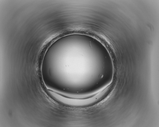 X0000111860922200907301128