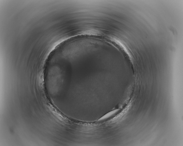 X0000111860923200907301128