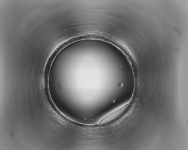 X0000111860924200907301128