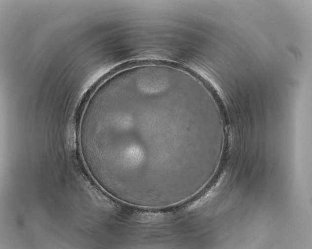 X0000111860925200907301128