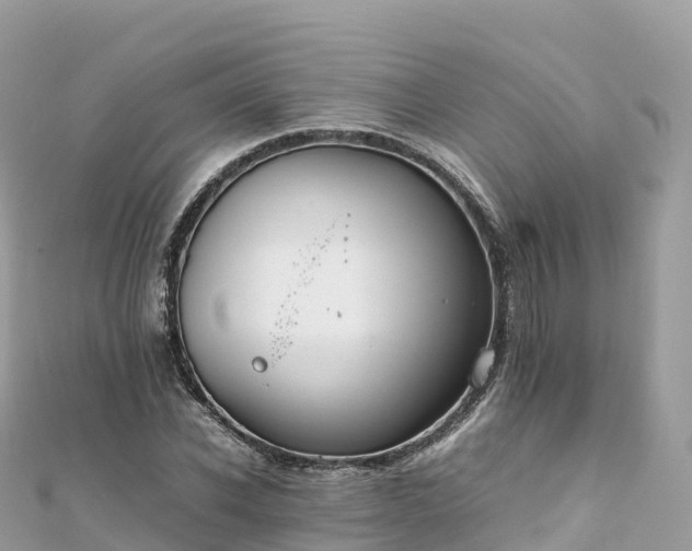 X0000111860926200907301128