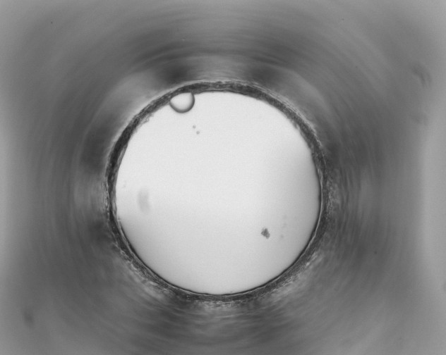 X0000111860927200907301128