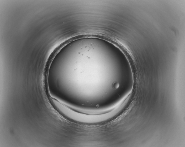 X0000111860928200907301128