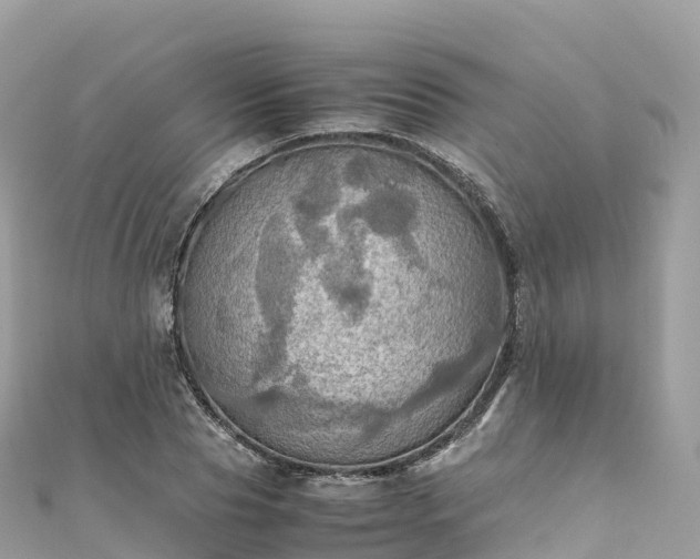 X0000111860929200907301128