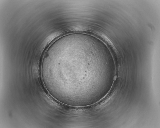 X0000111860930200907301128