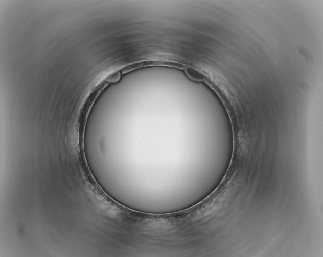 X0000111860931200907301128