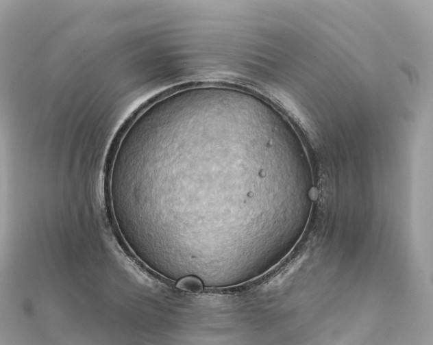 X0000111860932200907301128