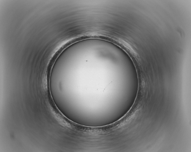 X0000111860934200907301128