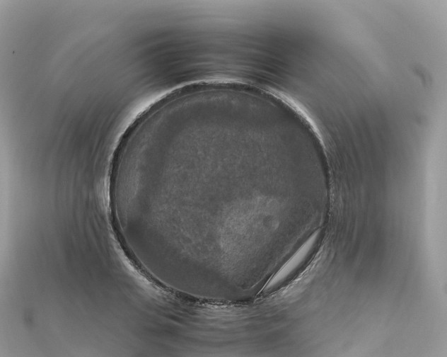 X0000111860935200907301128