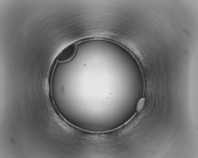 X0000111860936200907301128