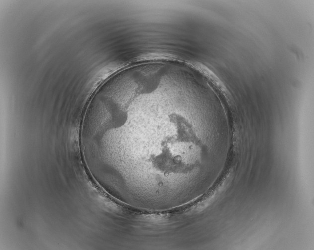 X0000111860937200907301128