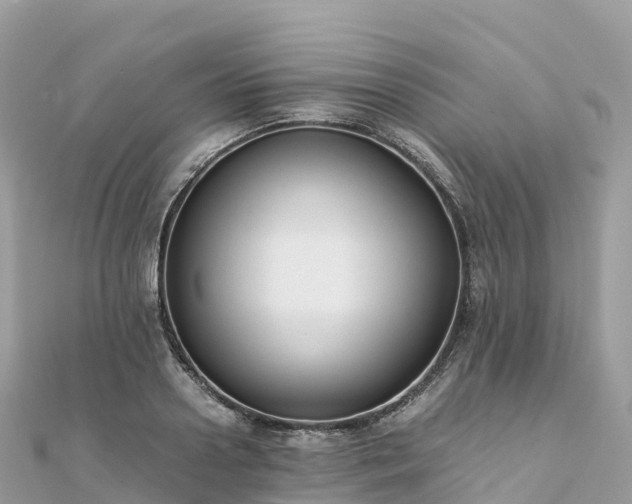 X0000111860938200907301128