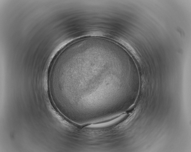 X0000111860939200907301128