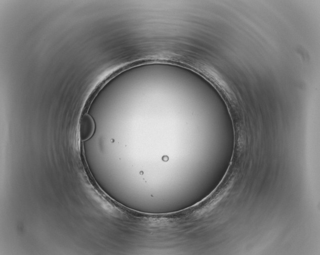 X0000111860940200907301128