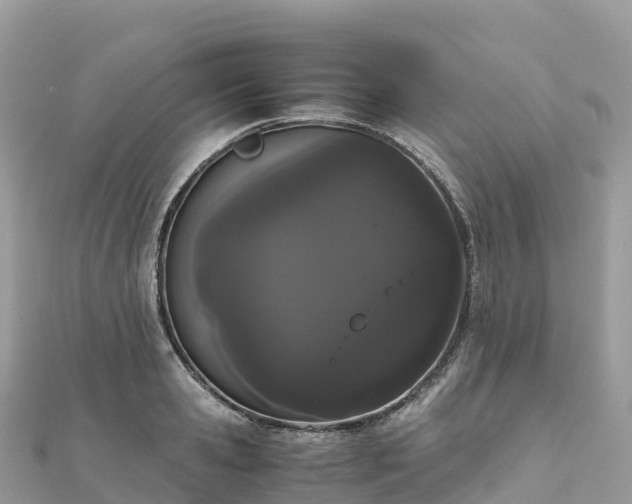 X0000111860941200907301128